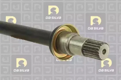 dasilva-99003at