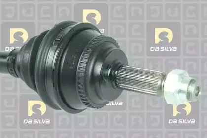 dasilva-99018at