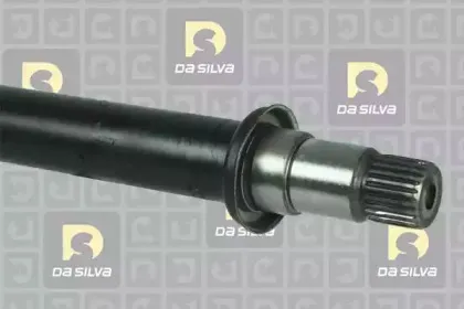 dasilva-99018at