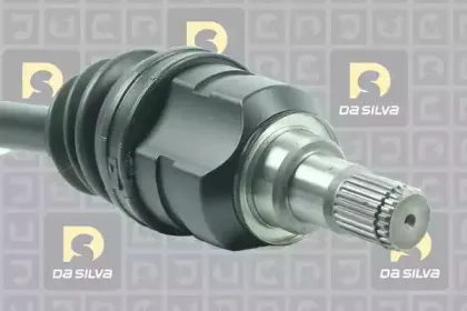 dasilva-99019at