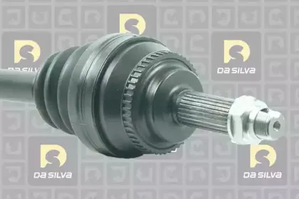 dasilva-99019at