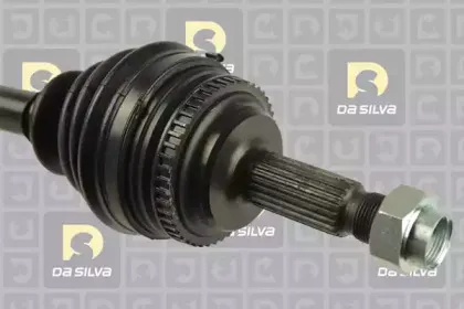 dasilva-99501at