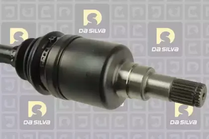 dasilva-99501at