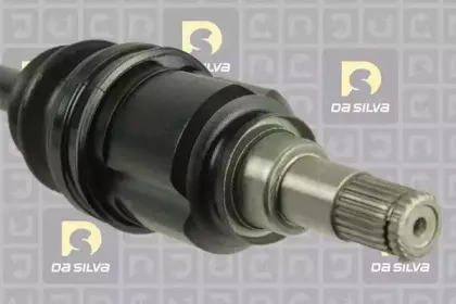 dasilva-99503at