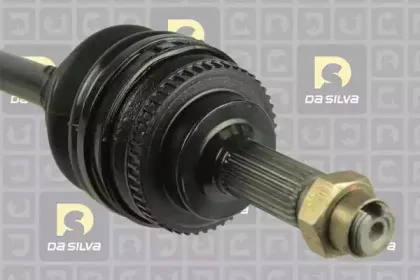 dasilva-99503at