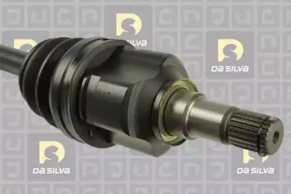 dasilva-99508at
