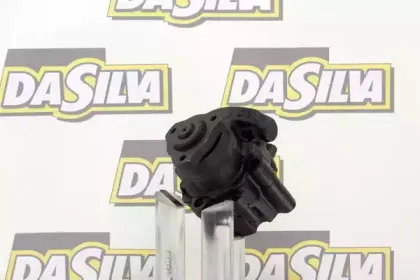 dasilva-dp2010