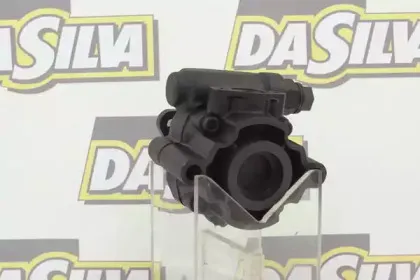 dasilva-dp2021
