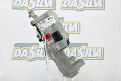 dasilva-et2004