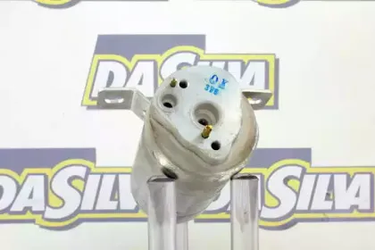 dasilva-ff4343