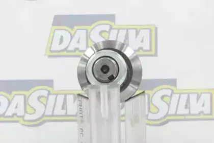 dasilva-j3035