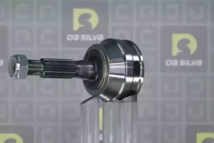 dasilva-j3094