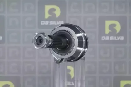 dasilva-j3094