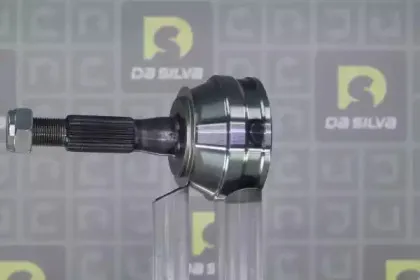 dasilva-j3094