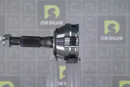 dasilva-j3094