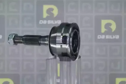 dasilva-j3094