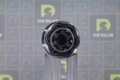dasilva-j3094