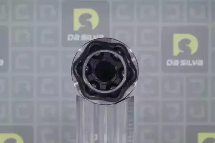 dasilva-j3094