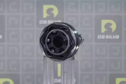 dasilva-j3094