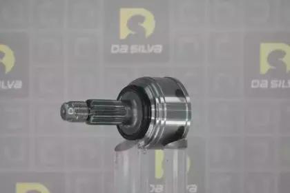 dasilva-j3106