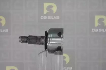 dasilva-j3106