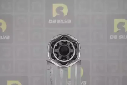 dasilva-j3106