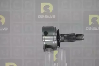 dasilva-j3106