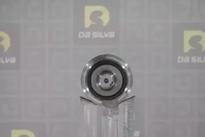 dasilva-j3106