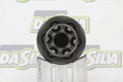 dasilva-j3107