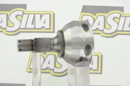 dasilva-j3112