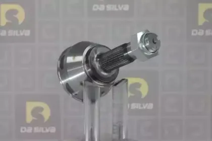 dasilva-j3253
