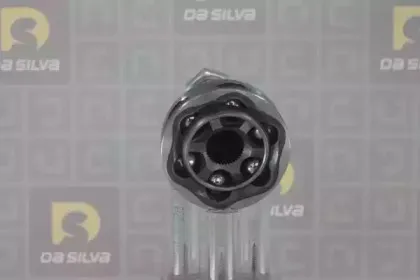 dasilva-j3253