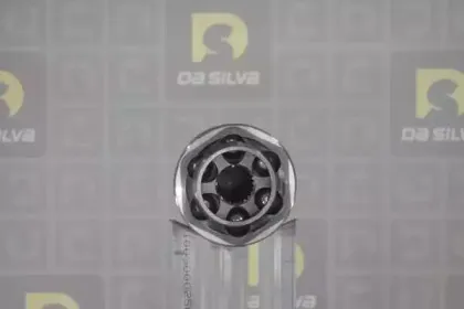 dasilva-j3267