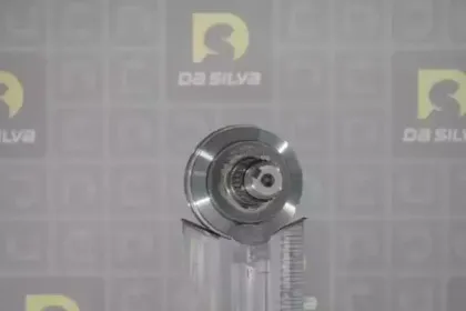 dasilva-j3267