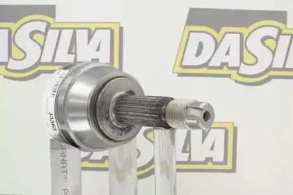 dasilva-j3363