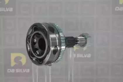 dasilva-j3473