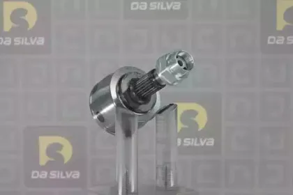 dasilva-j3482