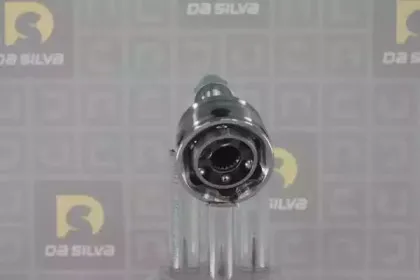 dasilva-j3482