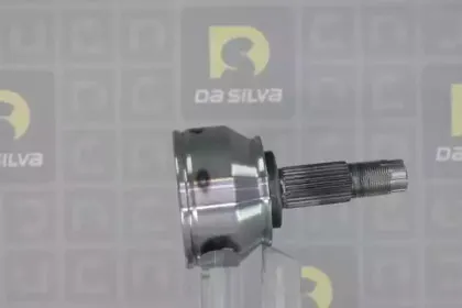 dasilva-j3517