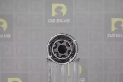 dasilva-j3586