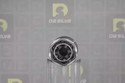 dasilva-j3602