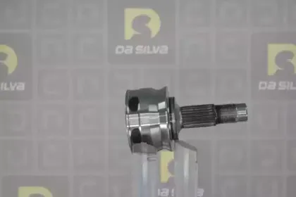 dasilva-j3602