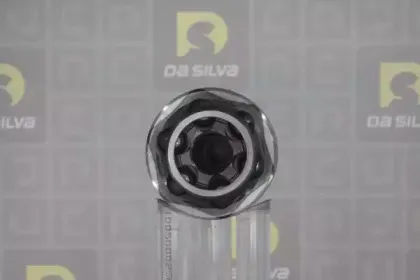 dasilva-j3607