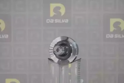 dasilva-j3640