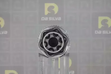 dasilva-j3673