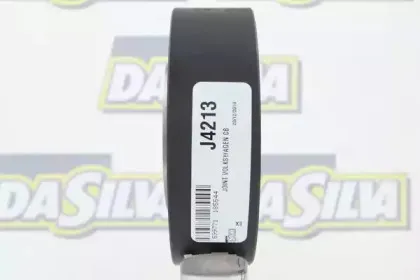 dasilva-j4213