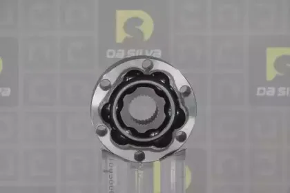 dasilva-j4501