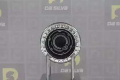 dasilva-j6033