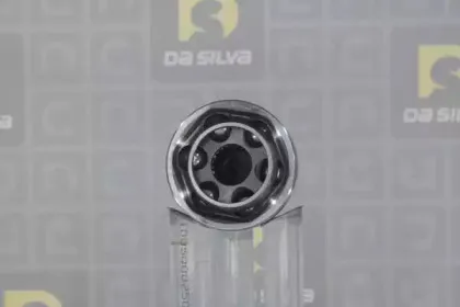 dasilva-j7565