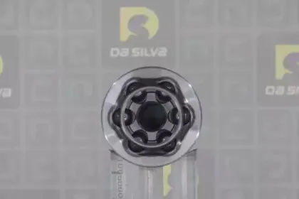 dasilva-j8055